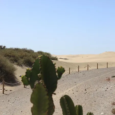 Confortevole 公寓 普拉亚戴尔雷安格莱斯