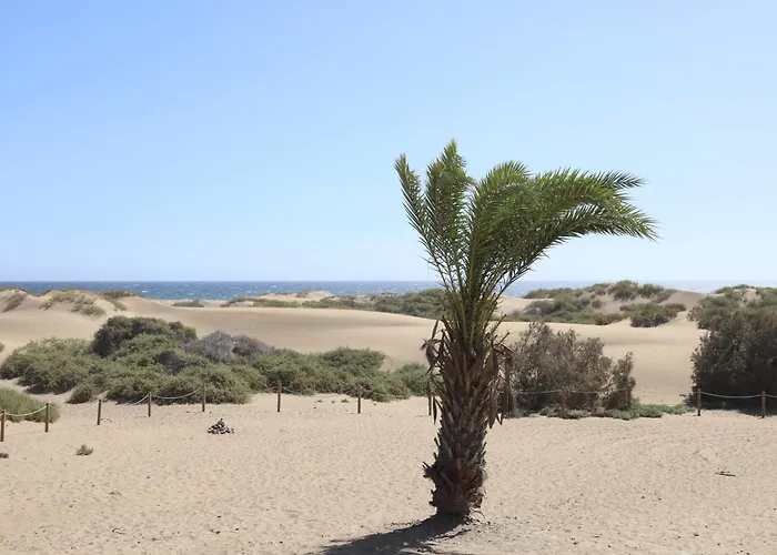 Apartment Confortevole