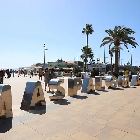 Confortevole Apartamento