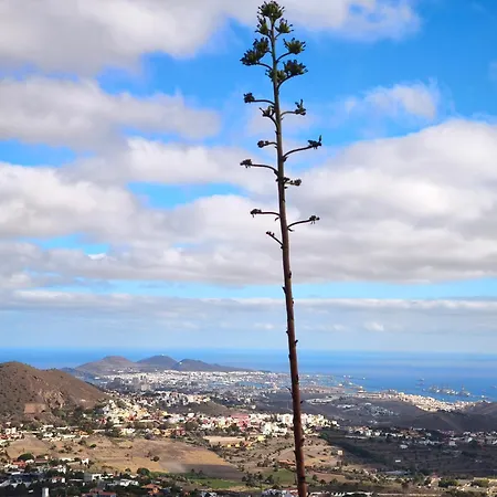 Confortevole Apartamento