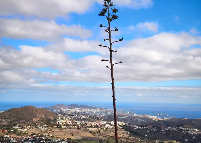 Confortevole Apartman